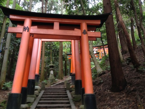 HB Fushimi Inari (Mt Inari)